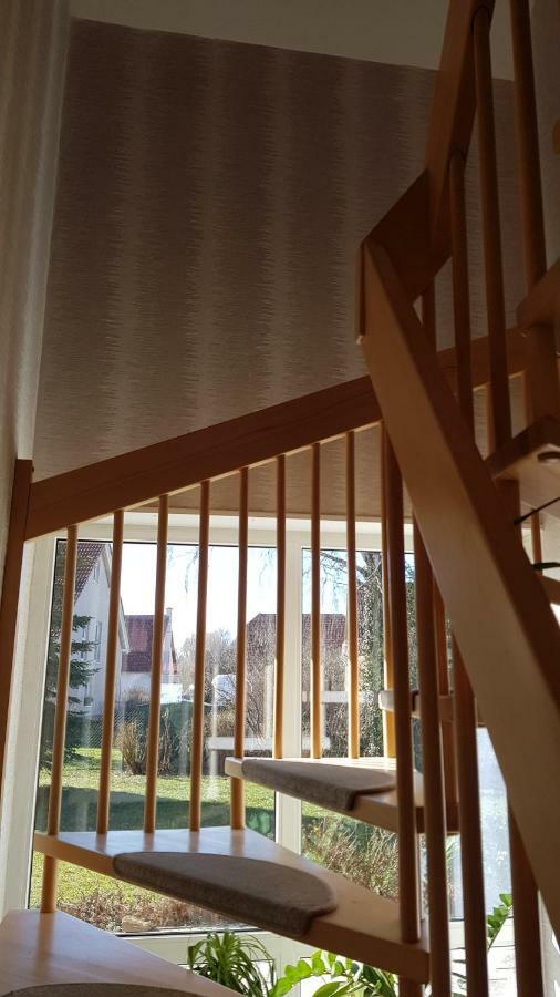 Ferienhaus Bogsi Müllrose 外观 照片