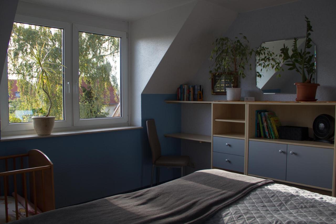 Ferienhaus Bogsi Müllrose 外观 照片